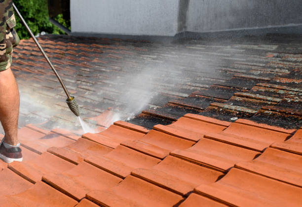 Why Choose Our Certified Pressure Washing Experts for Your Project Needs in Roosevelt Gardens, FL?